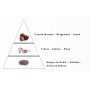 BEDUINE LAROME (33F) notas olfactivas